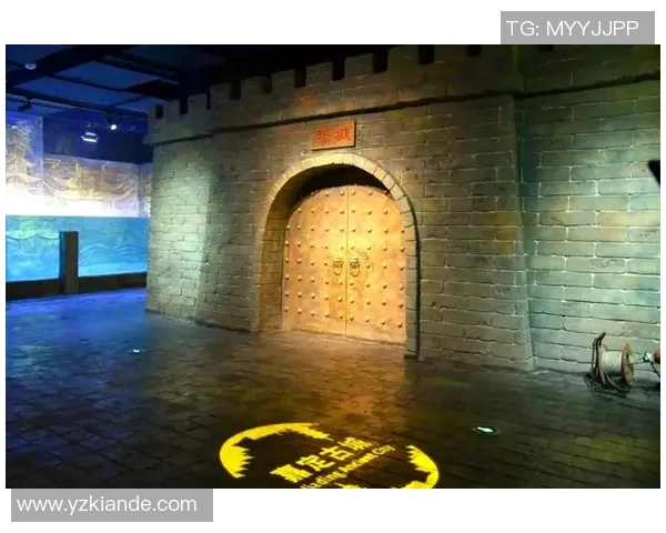 比利时足球球星球衣设计亮点揭秘 揭开背后独特的品牌与文化符号